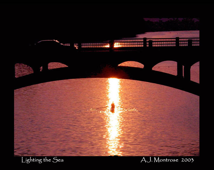 Lighting the Sea